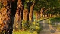 九游棋牌下载不了-玩九游棋牌，为何下载不了？你需要关注这些要点