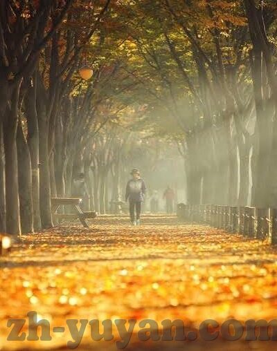 乐鱼体育国际登陆-乐鱼体育国际登录，连接全球体育爱好者的数字化桥梁